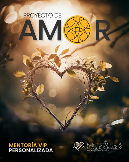 Proyecto de Amor