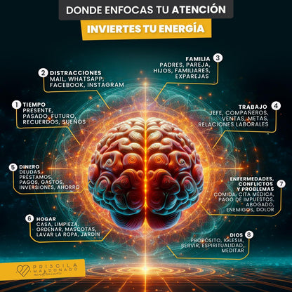 MEMBRESÍA MIND TRAINER VIP